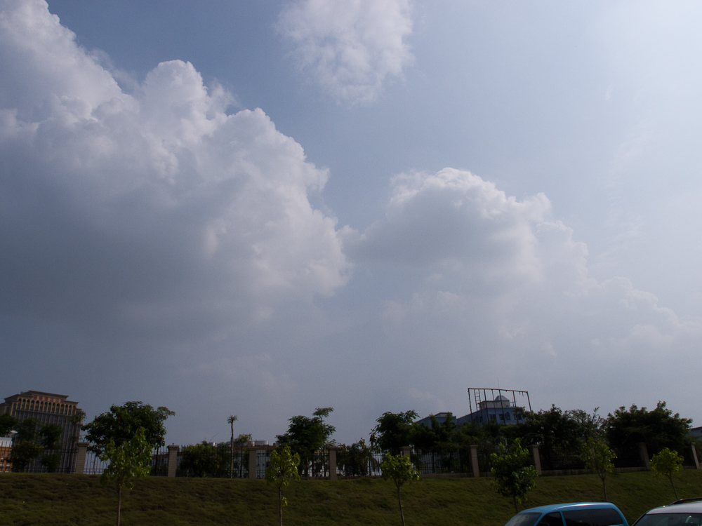 P8260855.jpg