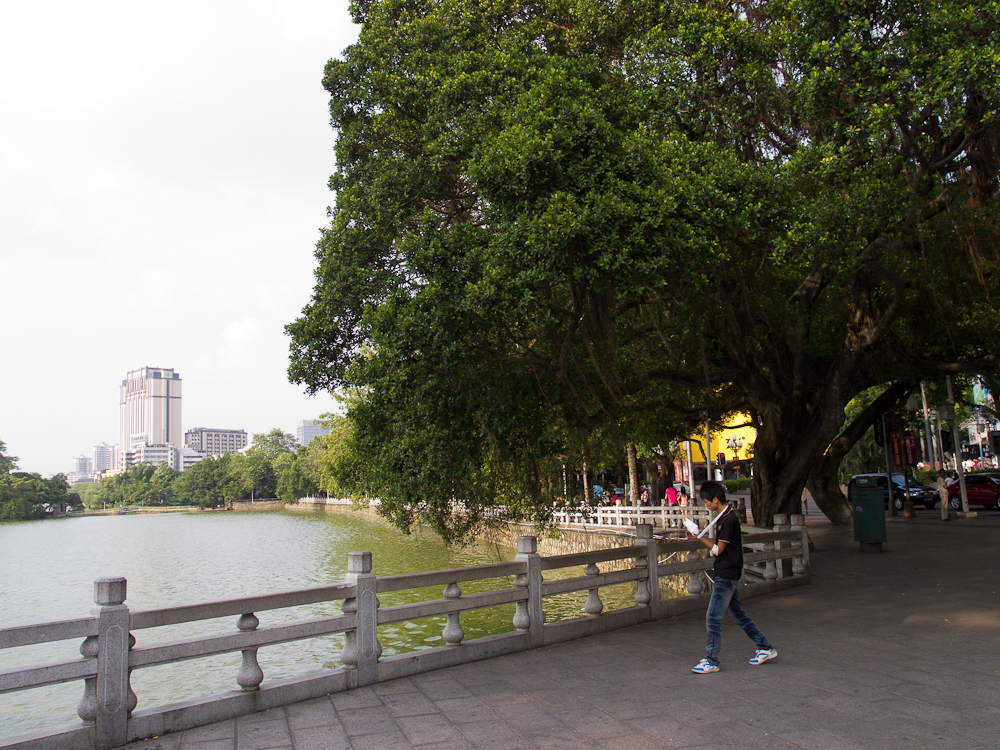 P8290871.jpg