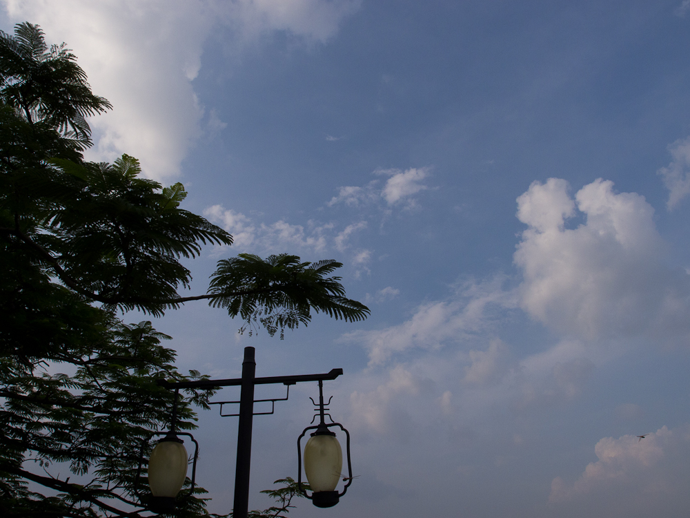 P8290894.jpg