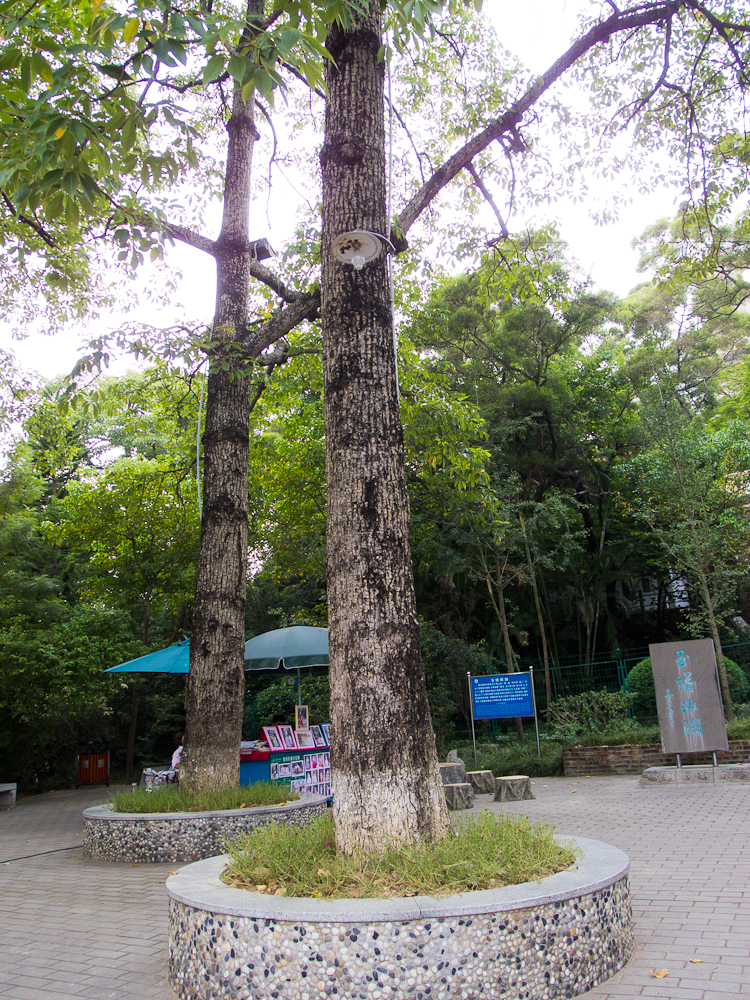 P8290898.jpg