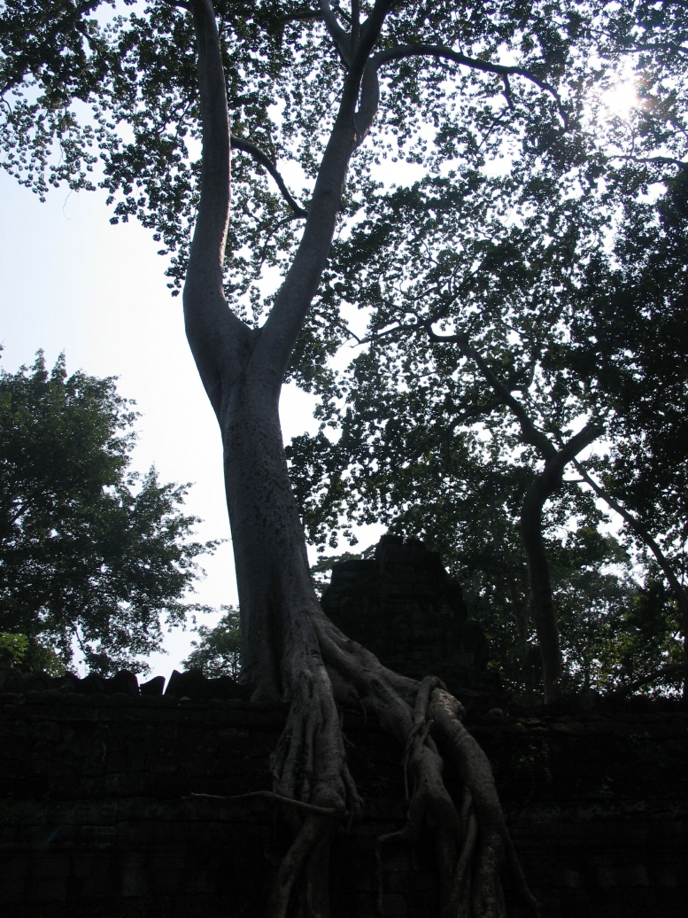 IMG_0016.jpg
