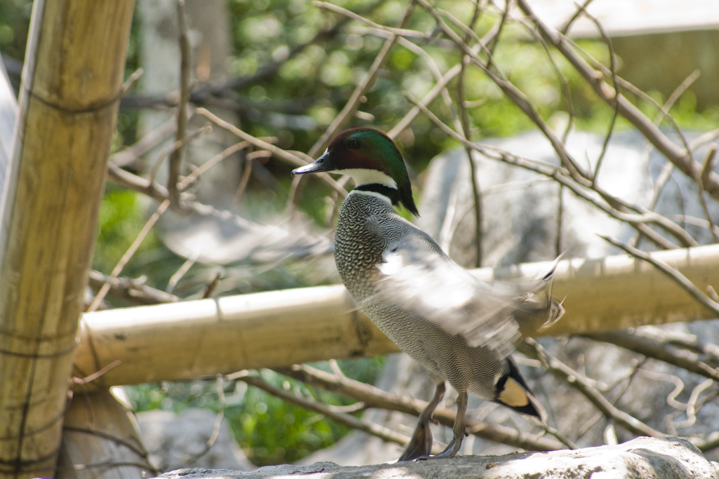 dsc03809.jpg