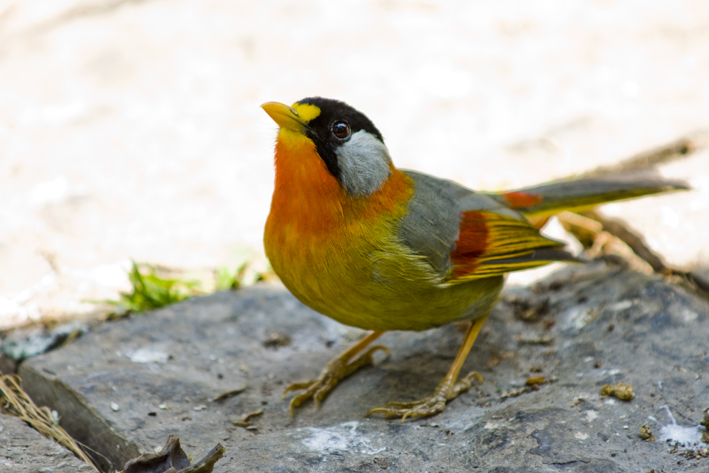 dsc03810.jpg