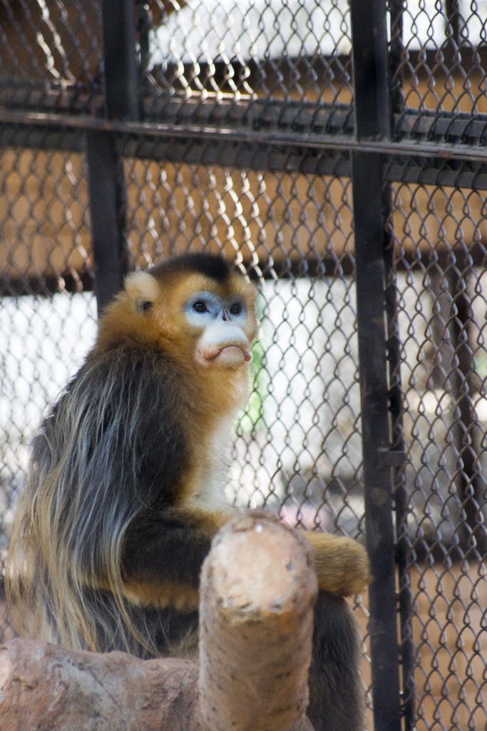 dsc03483.jpg