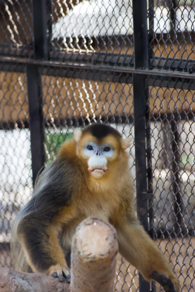 dsc03484.jpg