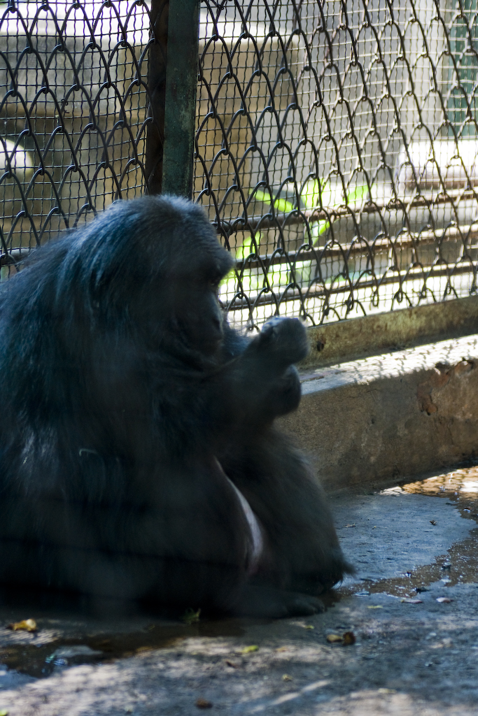 dsc03732.jpg