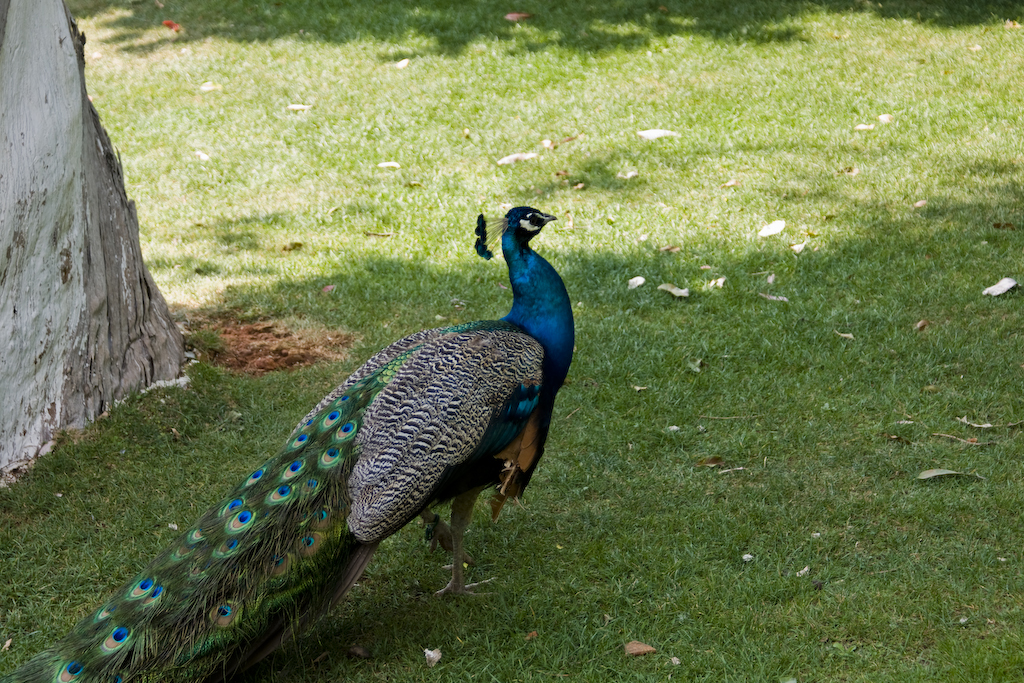 dsc03858.jpg
