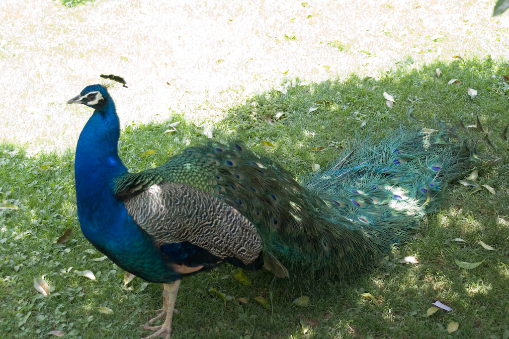 dsc03864.jpg