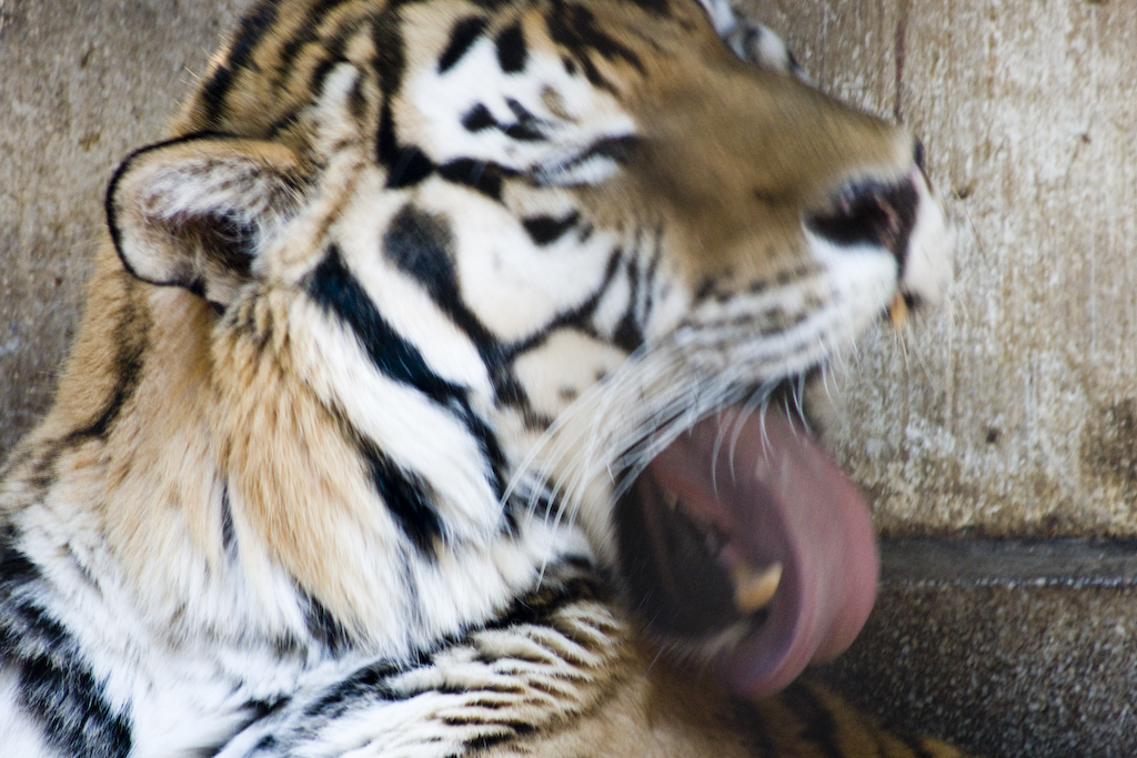 dsc03615.jpg