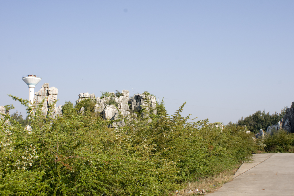 dsc02364.jpg