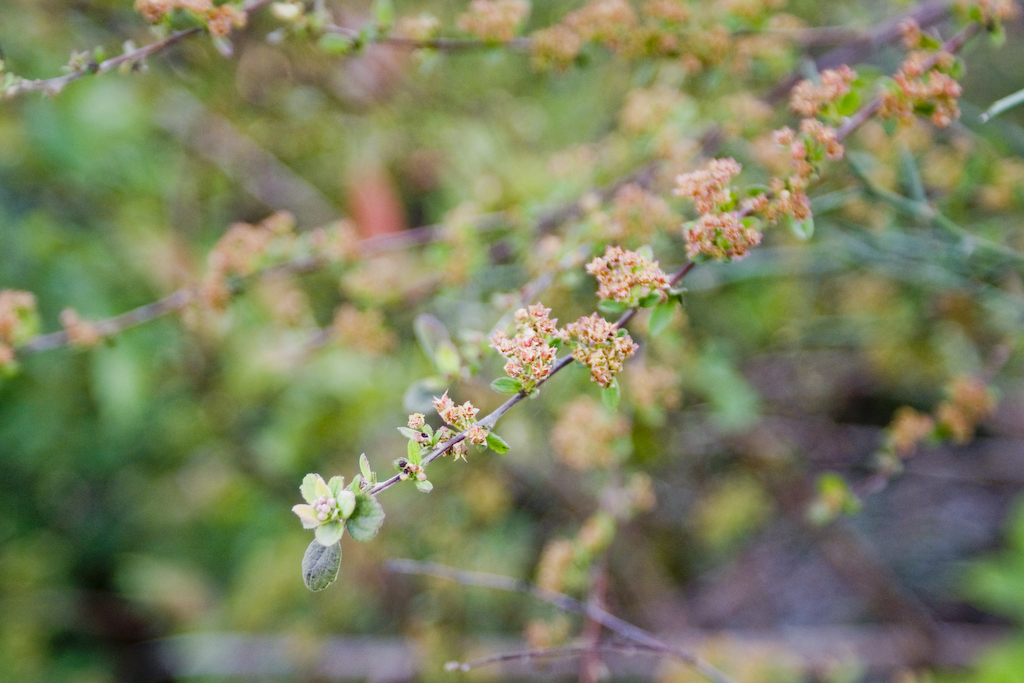 dsc02368.jpg