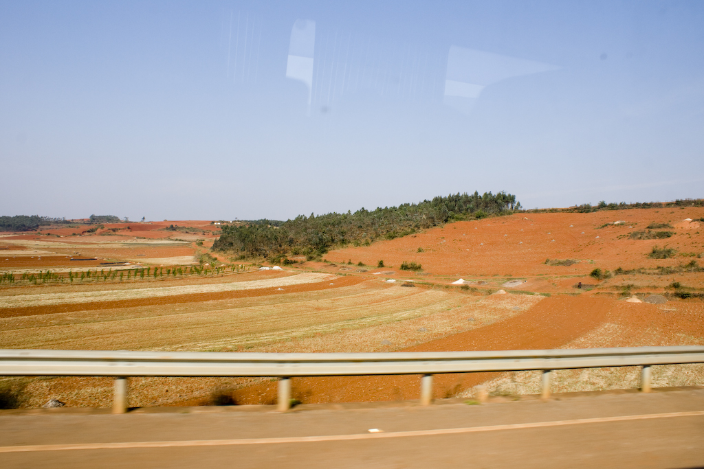 dsc02380.jpg