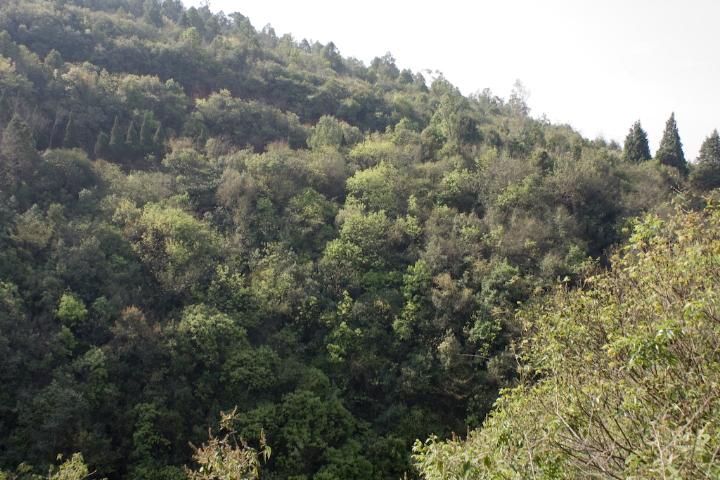 dsc02399.jpg