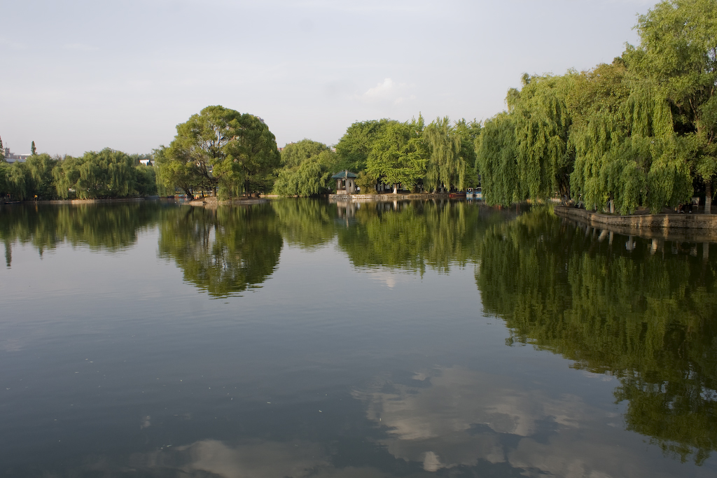 dsc03372.jpg