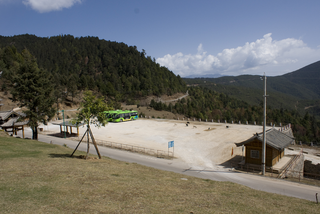 dsc02932.jpg