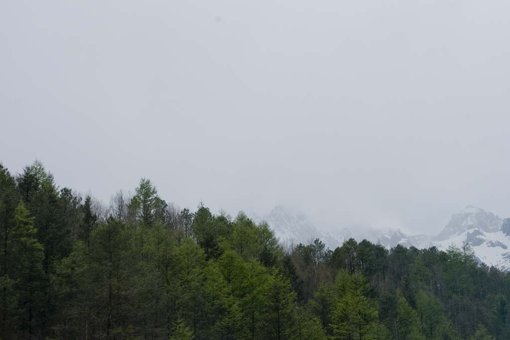 dsc03062.jpg