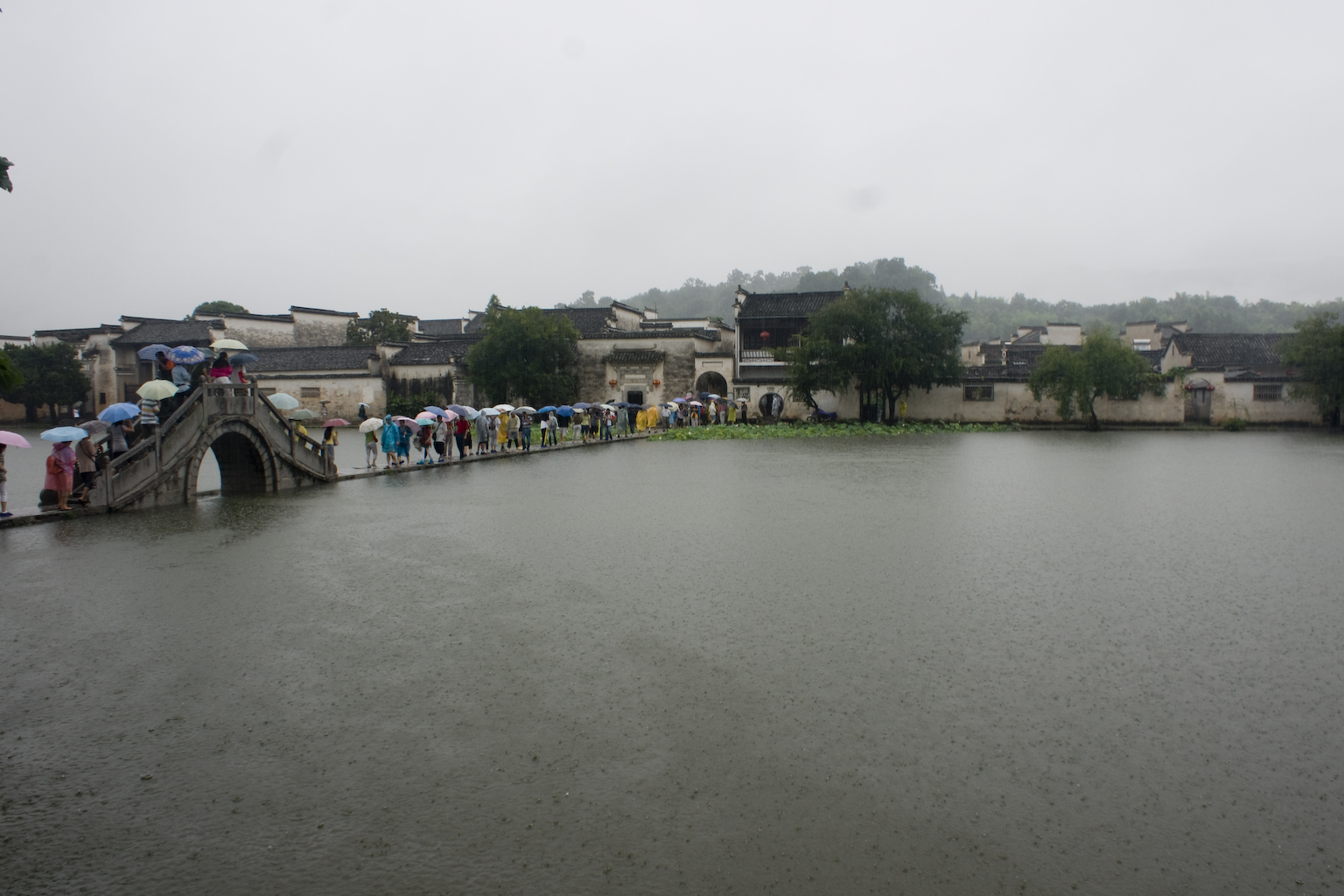 DSC05368.jpg