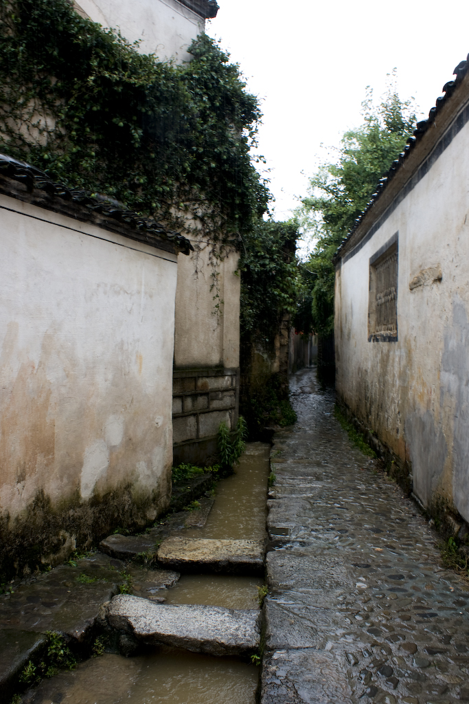 DSC05395.jpg