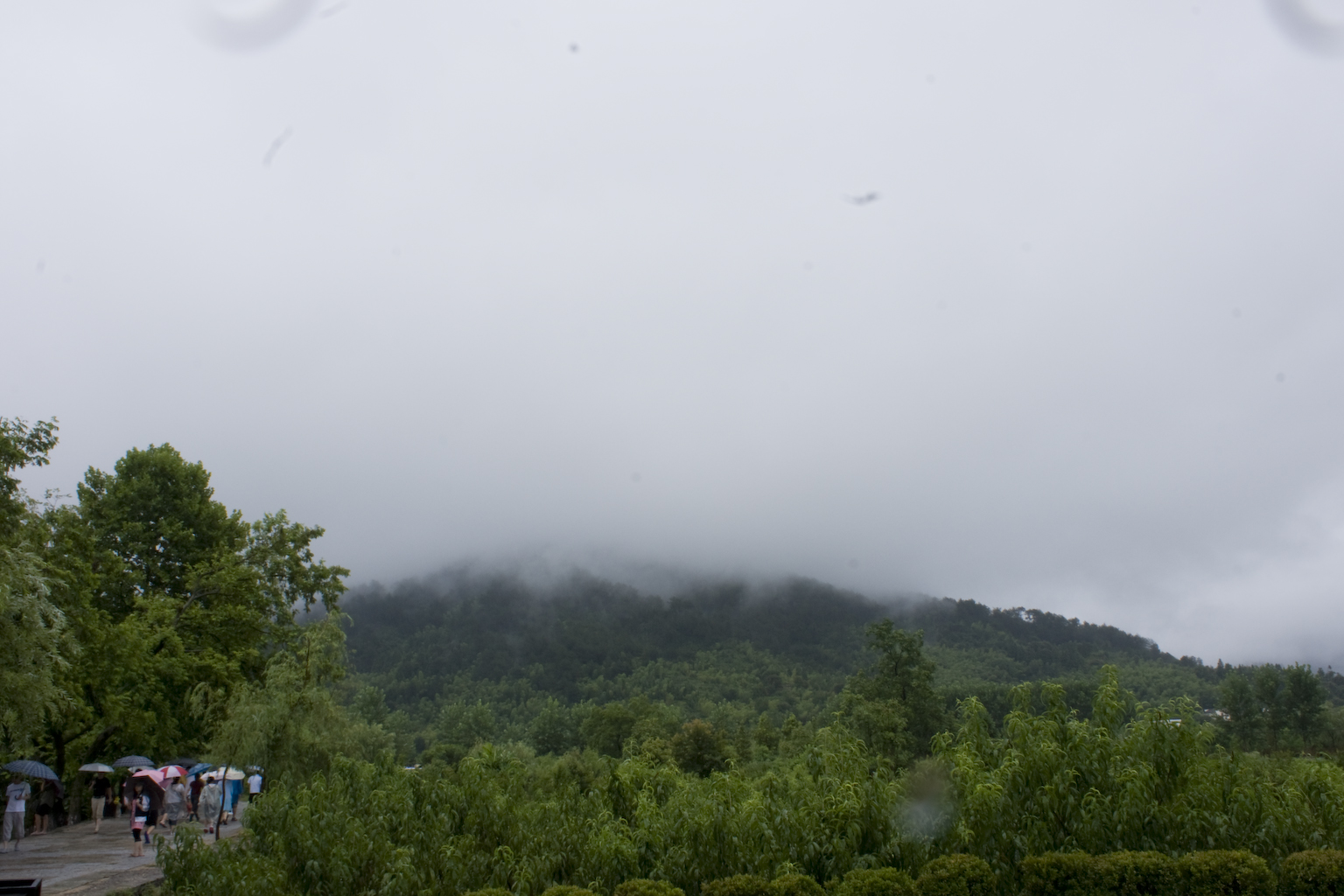DSC05430.jpg