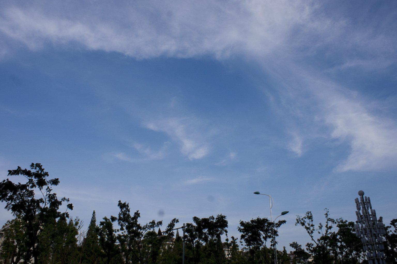 DSC04614.jpg