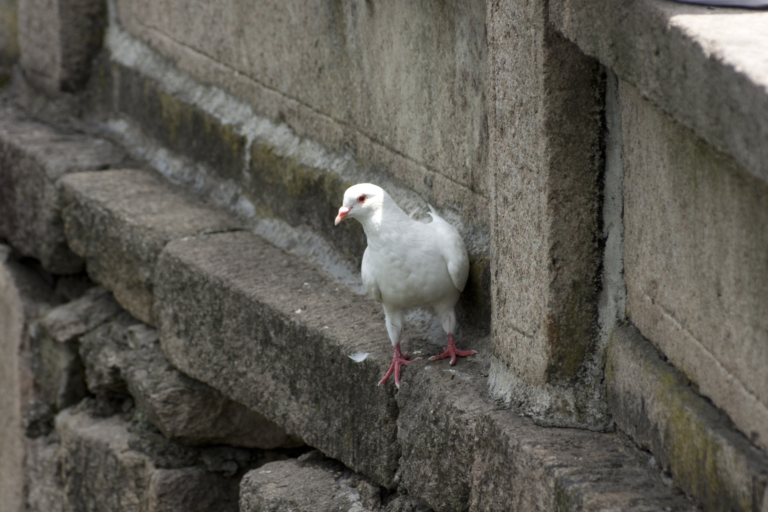 DSC04643.jpg