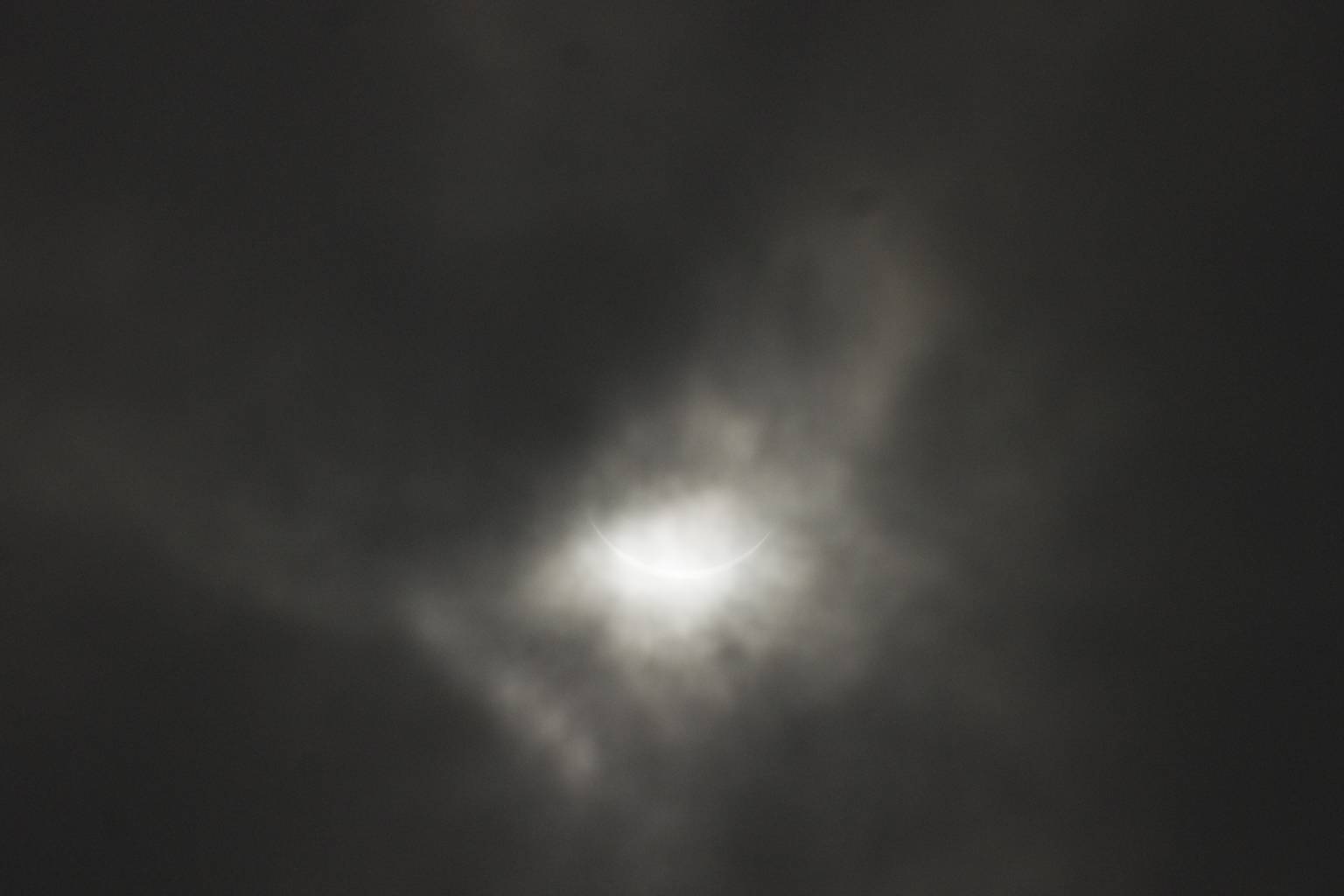 DSC04791.jpg
