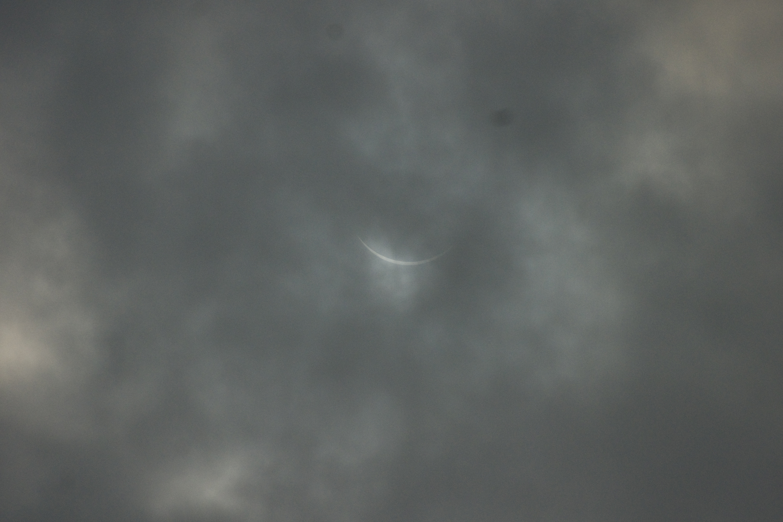 DSC04793.jpg