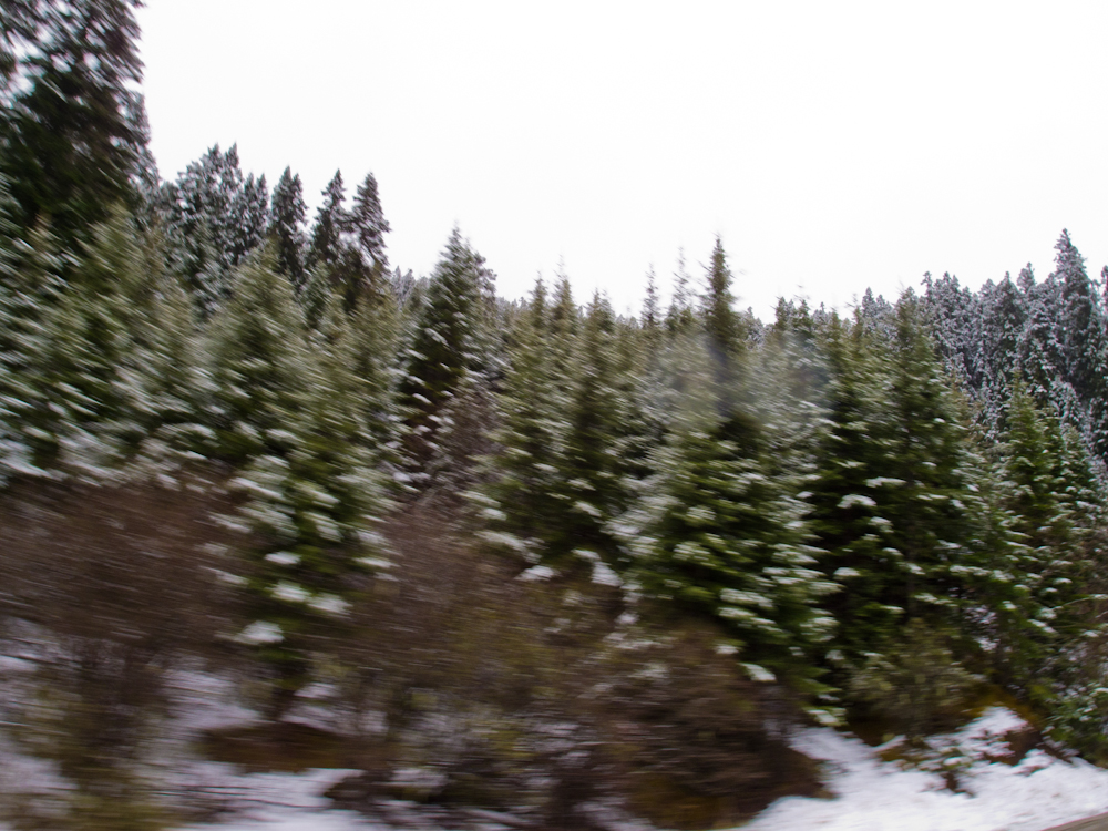P5230671.jpg