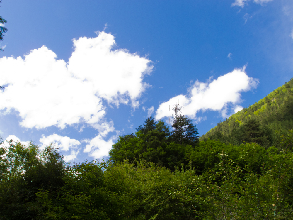 P5220545.jpg