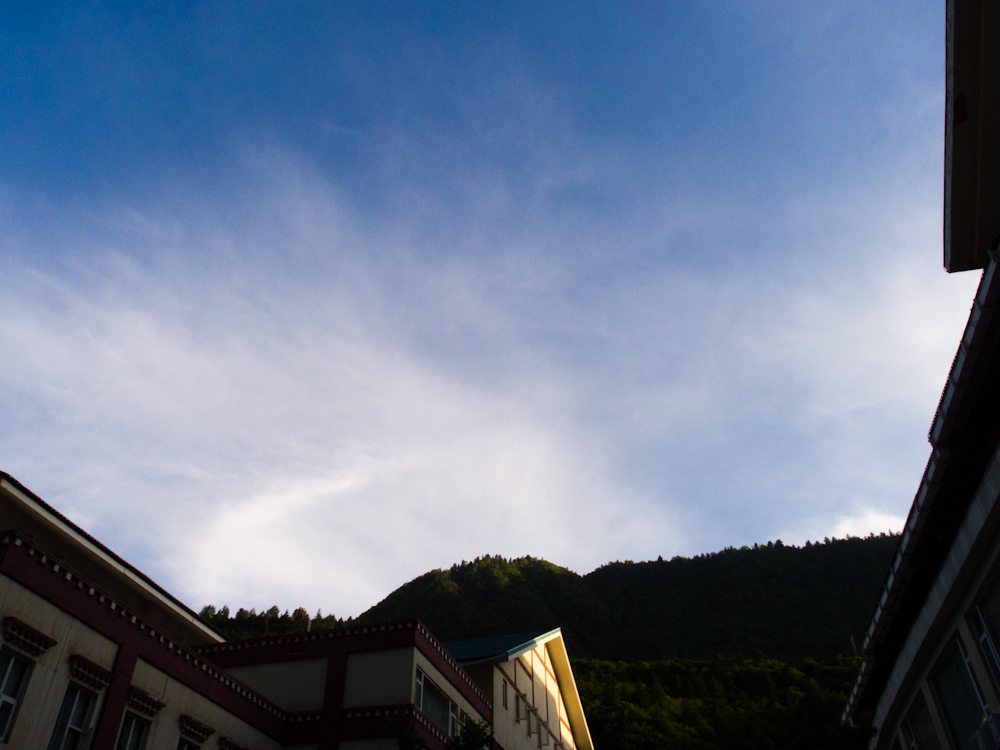 P5220610.jpg