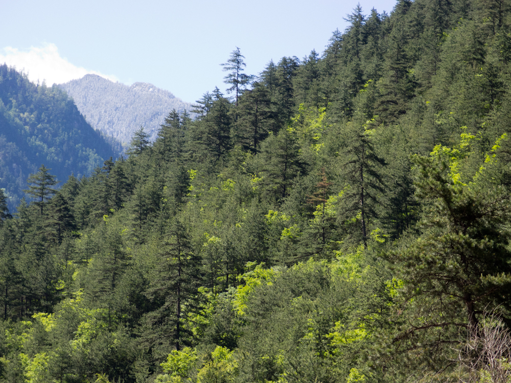 P5220352.jpg