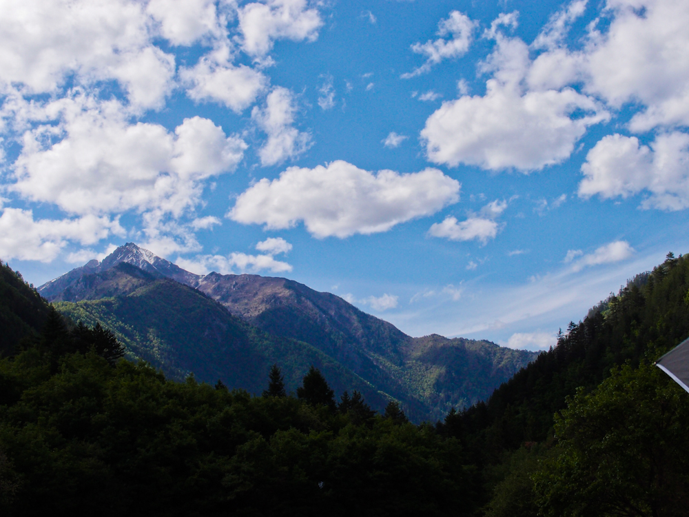 P5220531.jpg