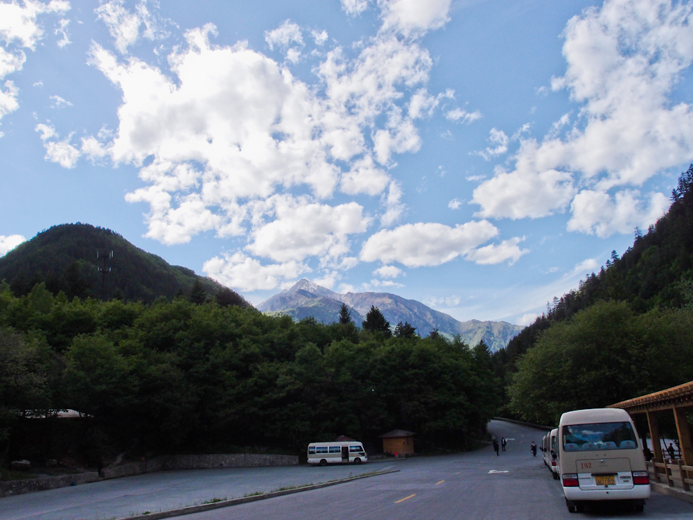 P5220533.jpg