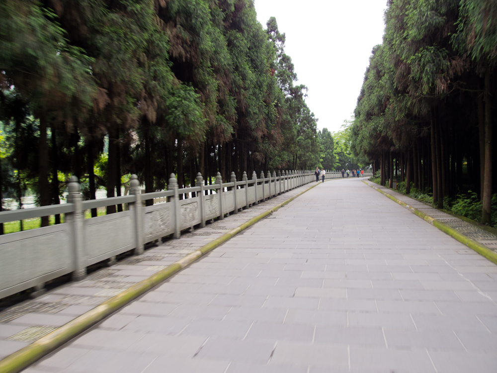 P5241032.jpg