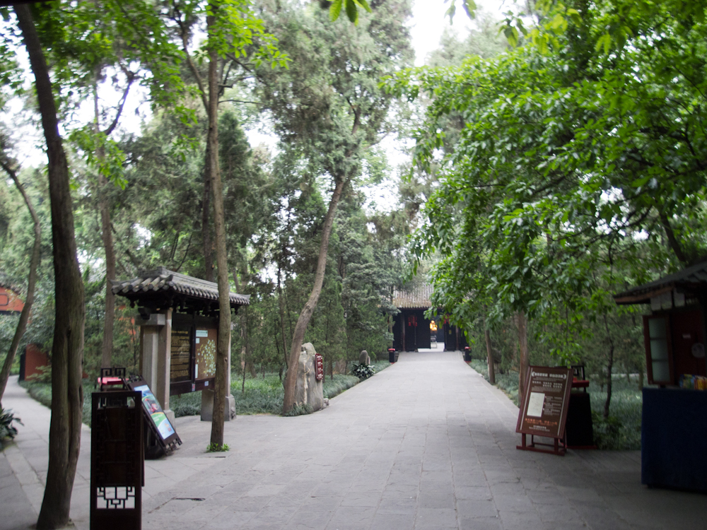P5230755.jpg