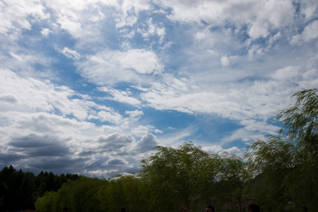 DSC03218.jpg