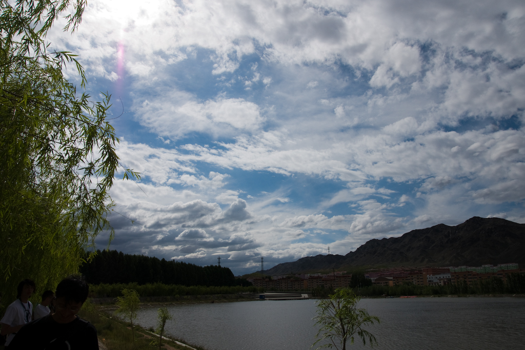 DSC03220.jpg