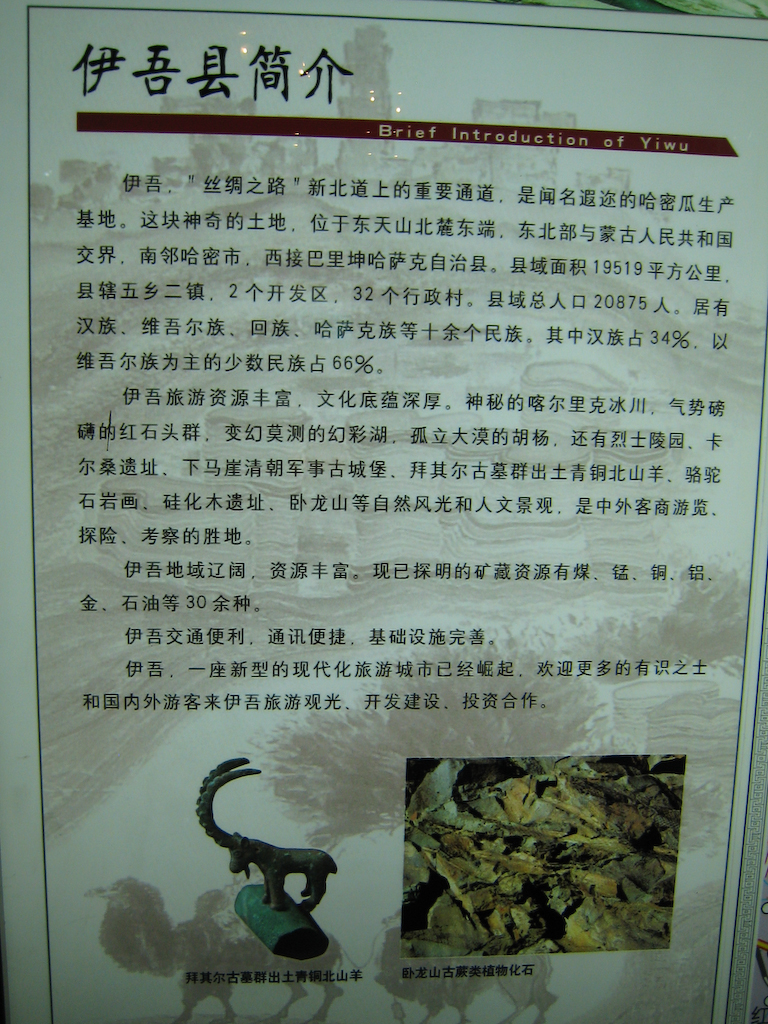 IMG_1462.jpg