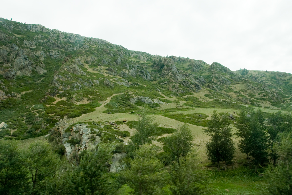 DSC03118.jpg