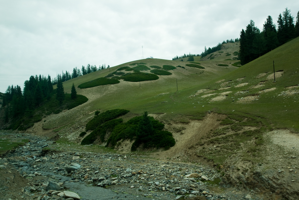 DSC03121.jpg