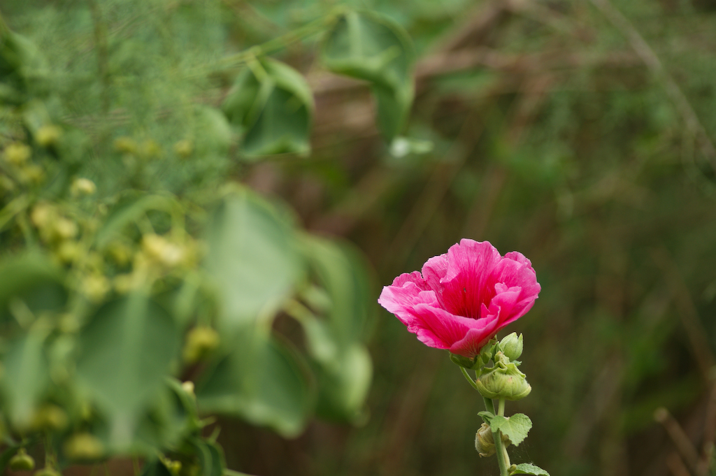 DSC03160a.jpg