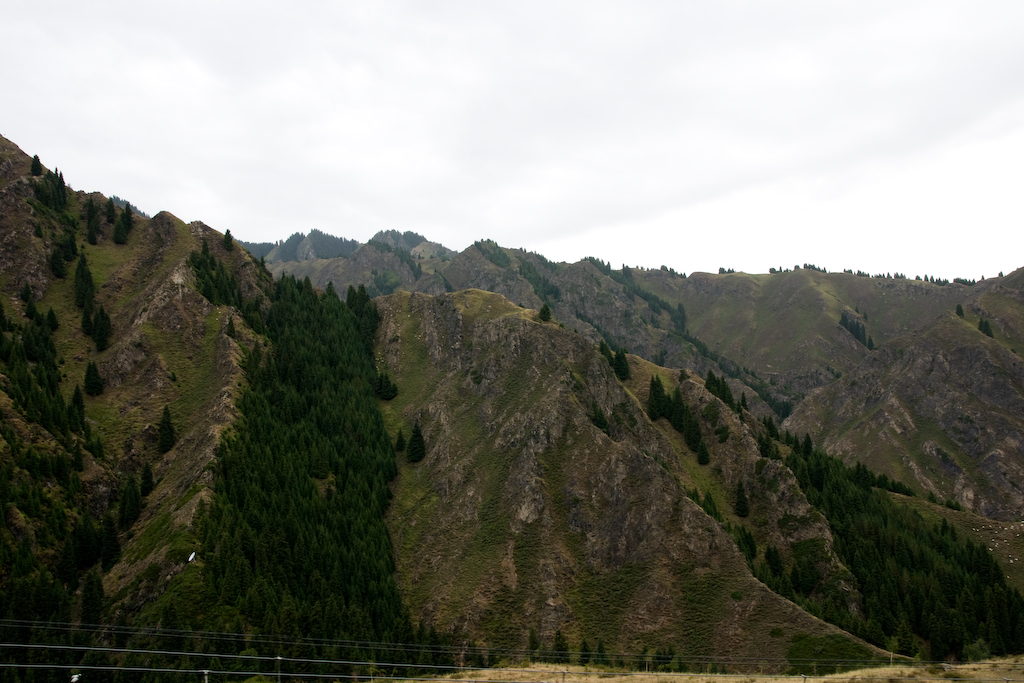 DSC03016.jpg