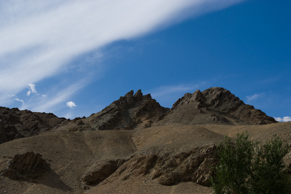 DSC03384.jpg