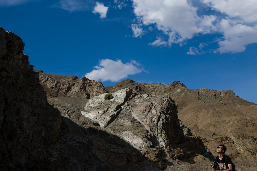 DSC03386a.jpg