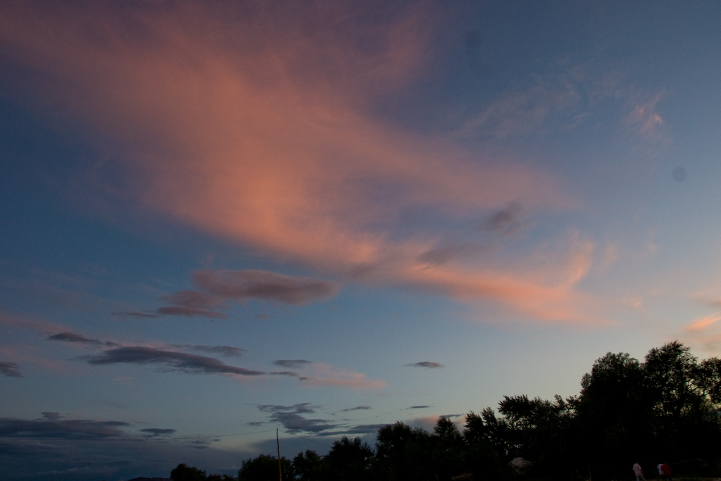 DSC03497.jpg