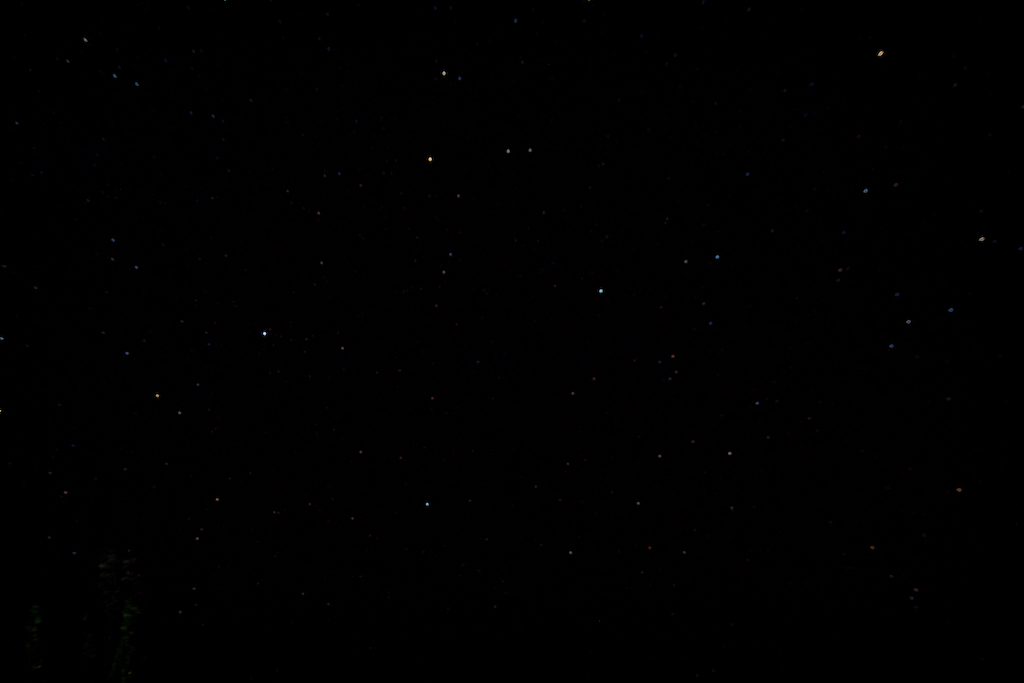 DSC03573.jpg