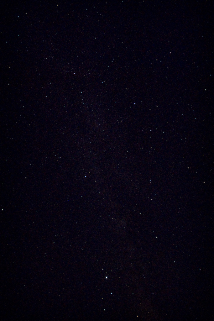 DSC03593.jpg