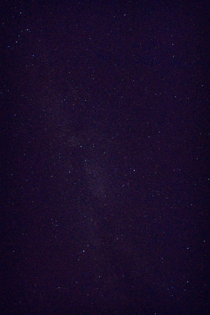 DSC03594.jpg