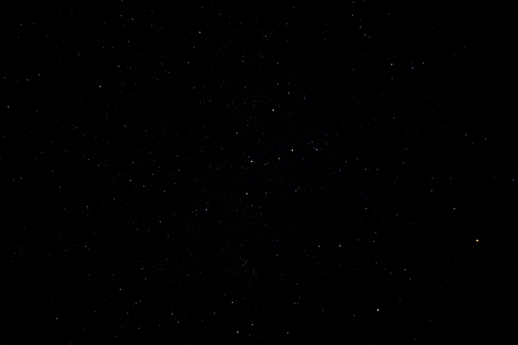 DSC03602.jpg