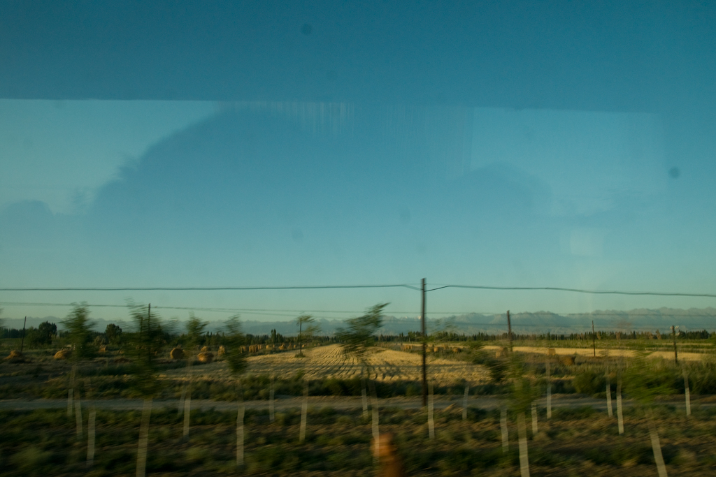 DSC03784.jpg